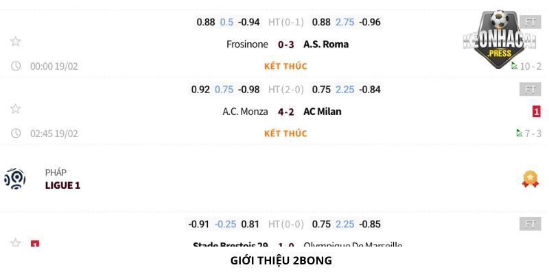 2bong Là Gì? Giới Thiệu Thông Tin Mới Nhất Về Trong Bóng Đá - gioi thieu 2bong Giới thiệu về 2bong