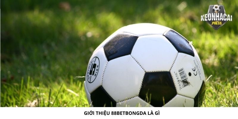 88betbongda Là Gì? Giới Thiệu Nhanh Về Nhà Cái Uy Tín 2024 - gioi thieu 88betbongda la gi Giới thiệu 88betbongda