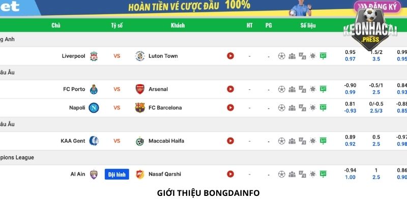 Bongdainfo Là Gì? Chia Sẻ Thông Tin Mới Nhất - gioi thieu bongdainfo la gi Giải đáp Bongdainfo là gì?