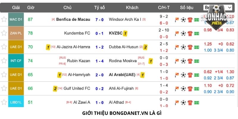 Bongdanet.vn Là Gì? Chia Sẻ Thông Tin Cơ Bản - gioi thieu bongdanet.vn la gi Giới thiệu Bongdanet.vn là gì
