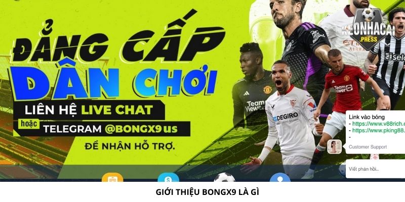 Bongx9 Là Gì? Cập Nhật Nhanh Về Nhà Cái Uy Tín Nhất - gioi thieu bongx9 la gi Giới thiệu Bongx9 là gì