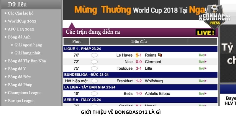 Bongdaso12 Là Gì? Chia Sẻ Thông Tin Mới Nhất - gioi thieu ve bongdaso12 la gi Giới thiệu về Bongdaso12 là gì