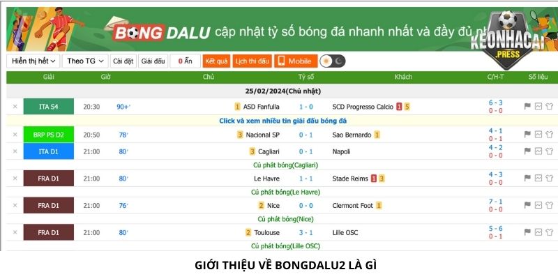 Bongdalu2 Là Gì? Xem Kèo Tại Bongdalu2 Uy Tín Nhất - gioi thieu ve bongdulu2 la gi Giới thiệu Bongdalu2 là gì