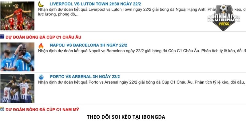 Ibongda Là Gì? Vì Sao Nên Sử Dụng Trang Web? - theo doi soi keo cua ibongda la gi Theo dõi soi kèo tại Ibongda