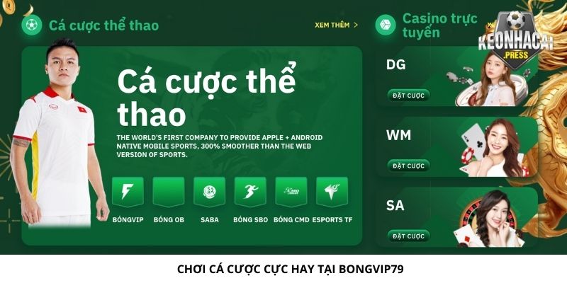 Bongvip79 Là Gì? Điểm Đến Lý Tưởng Cho Thể Thao Bóng Đá - choi ca cuoc cuc hay tai bongvip79 la gi Chơi cá cược cực hay tại Bongvip79