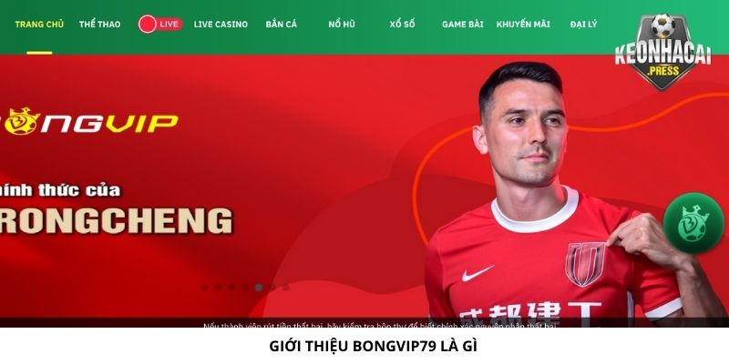Bongvip79 Là Gì? Điểm Đến Lý Tưởng Cho Thể Thao Bóng Đá - gioi thieu bongvip79 la gi Giới thiệu Bongvip79 là gì
